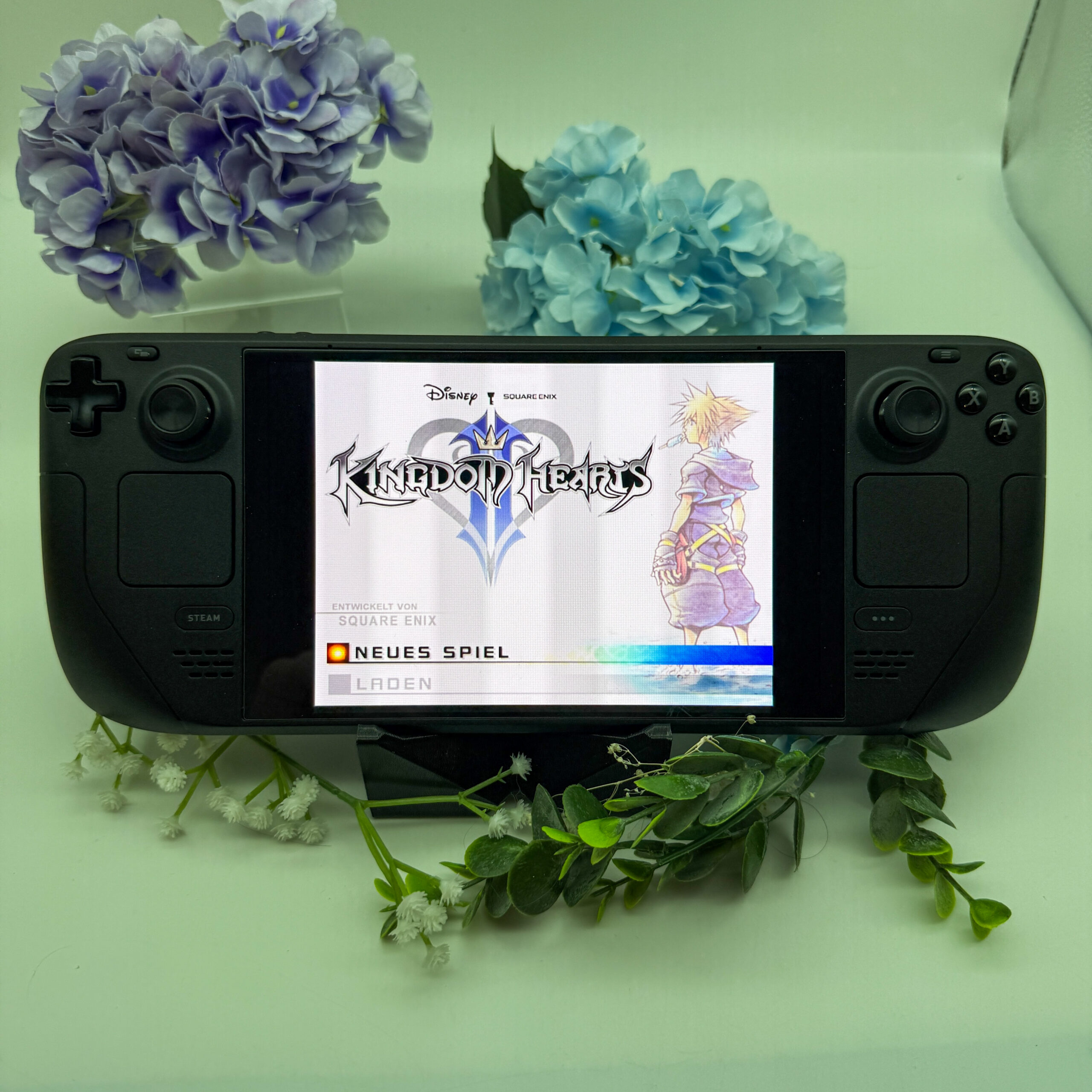 SteamDeck OLED (gemodded) – Bild 9